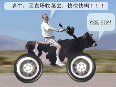 ����QQũ����ЦͼƬQQ�����ȫ_QQũ��͵�˱�������_www.qqtequ.com