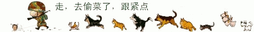 2010�����ܻ�ӭQQũ��͵�˱����ȫ_��Ц��QQũ��͵�˱���_www.qqtequ.com